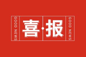 喜报！华体会体育(中国)HTH·官方网站集团党支部党建工作荣获多项市级表彰